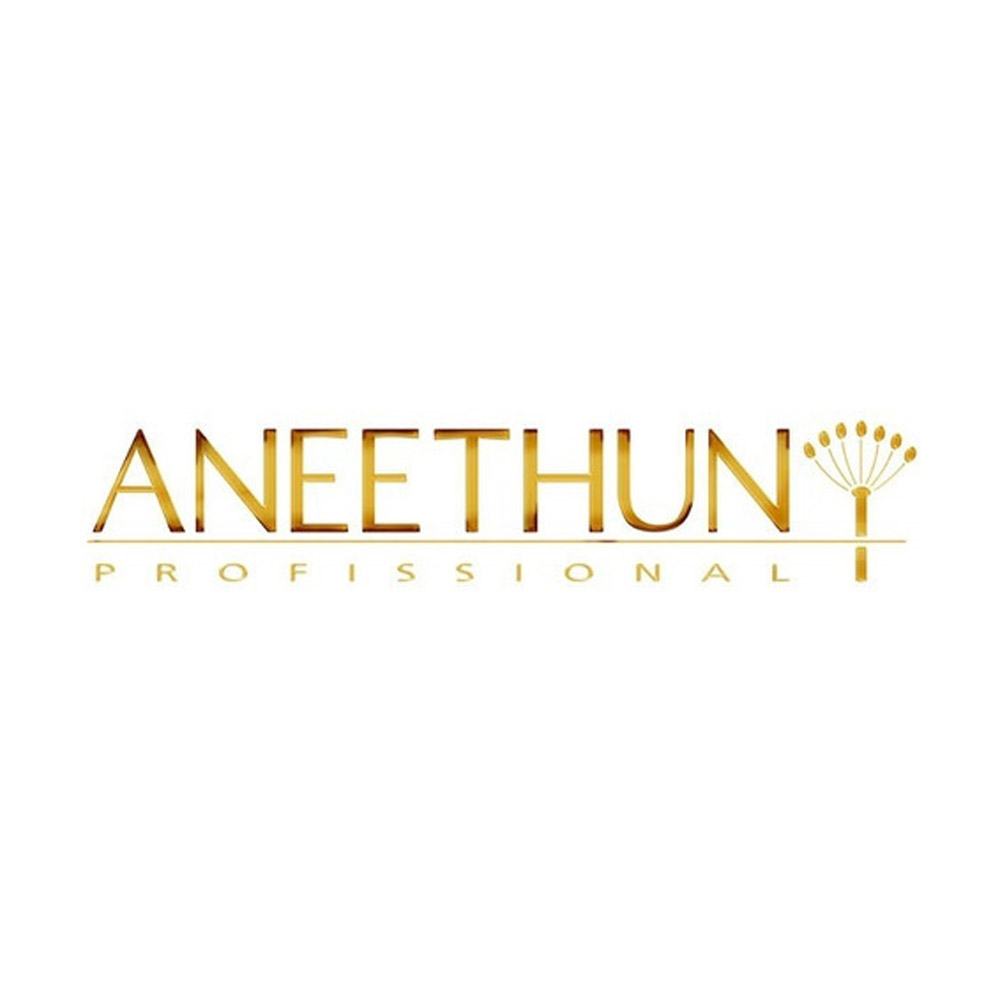 Aneethun.Logo_.jpg