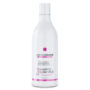 American Desire Nutritive Bush Shampoo Clean Force 500ml/16.9 fl.oz