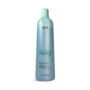 Richée Progressive BB Cream Reducer Fluid Natural Smoothing Effect Step 2 Hair Care 1Kg/35.2 oz